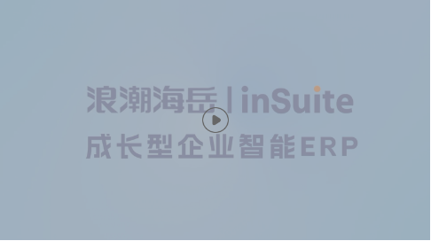 浪潮海岳inSuite智能ERP
